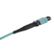 12 Fiber OM3 MPO Trunk Cable ไฟเบอร์ออปติก MTP Patch Cord LSZH 1M Type B